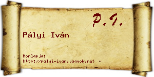 Pályi Iván névjegykártya